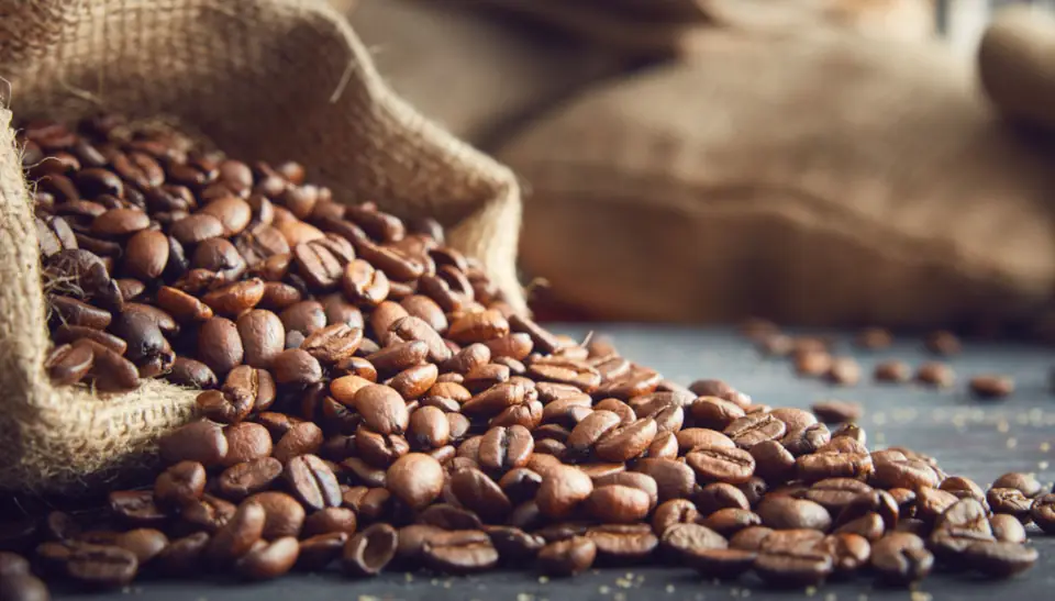 Chicchi di caffè tostato che escono da un sacco di juta